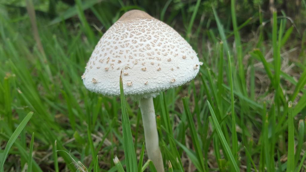 林溪Spa旅舍 德尔斯特鲁姆 外观 照片